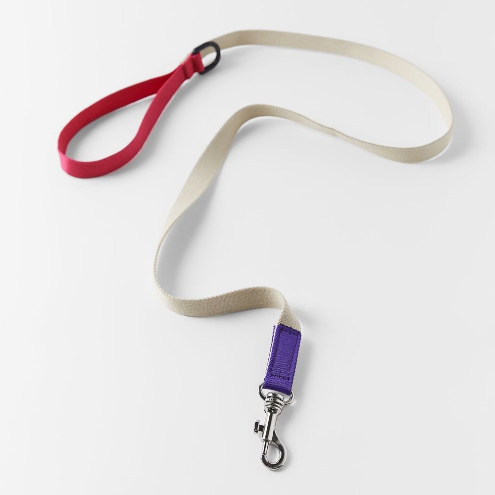 ZARA COLORFUL LEASH PET COLLECTION - Picture 2 of 5
